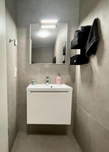 迪德朗日Confortable appart. en résidence (rez-de-chaussé)的浴室设有白色水槽和镜子