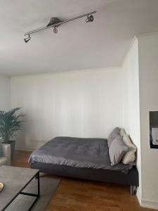 奥斯陆35m2 apartment in central oslo的白色墙壁间的一张床位