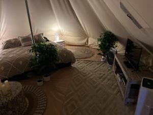 NoonamahNoonamah Tourist Park的一间卧室配有一张床,帐篷内配有电视