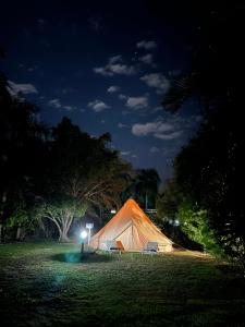 NoonamahNoonamah Tourist Park的夜晚坐在田野里的帐篷