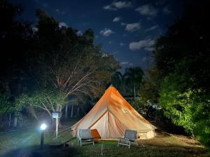 NoonamahNoonamah Tourist Park的夜晚在田野里的一个帐篷和两把椅子