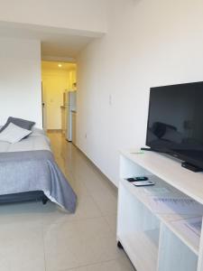 拉里奥哈DELFINA suites 1A的一间卧室配有一张床和一台平面电视