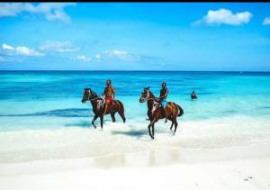 普罗维登西亚Mary & Matt lodge的三人在海滩上骑马