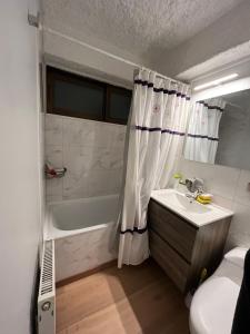 El ColoradoSki in-out Apartment in El Colorado的一间带水槽和淋浴帘的浴室