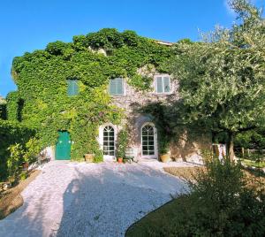 钱皮诺Giardini Penelope的常春藤覆盖的绿色门房子