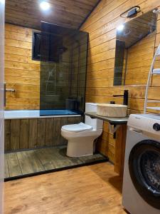 卡兹贝吉Little Wood House Gergeti的浴室配有卫生间、盥洗盆和洗衣机。
