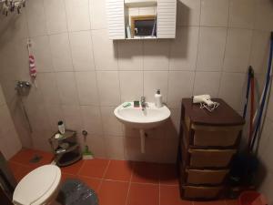 维舍格勒Lenka的一间带水槽和卫生间的小浴室