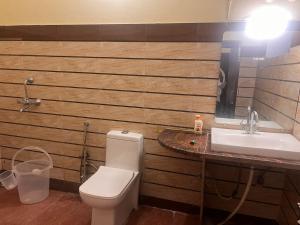 兰纳加The HeartWood Farms Inn的一间带卫生间和水槽的浴室
