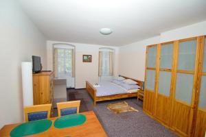 Nové HamryHAMR Apartmány的客厅配有床和桌子