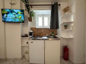 凯瑟拉Valente Rooms Kythira的一个带水槽的厨房和墙上的电视