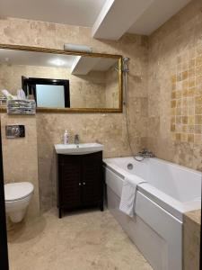 雅西Studios Copou IRO Parhon的带浴缸、盥洗盆和卫生间的浴室