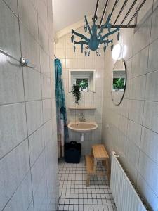 HummeloAchterhoekhuisje De Rode Beuk的一间带水槽和镜子的浴室