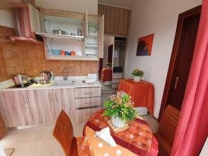 扎金索斯镇皮塔斯公寓的一个带桌子和水槽的小厨房