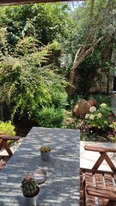 阿尔加拉斯蒂Αρχοντικό Ταξίμι (Μουντζουρίδη)的一张野餐桌,上面有两株盆栽植物