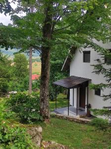 LičKuća za odmor Iva的前面有一棵树的白色房子