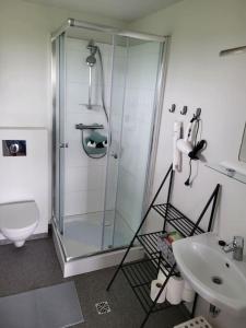塞尔福斯Hólar Countryside Cabin 2的带淋浴、卫生间和盥洗盆的浴室