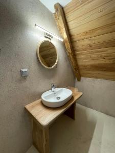 奥林匹亚达Unique wooden villa with pool的浴室设有水槽和墙上的镜子
