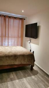 墨西哥城Contenedores Maritimos的一间卧室配有一张床和一台平面电视