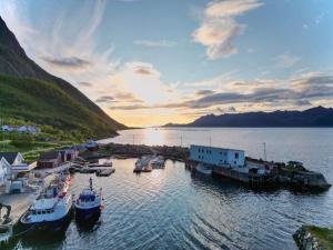 StonglandseidetSenja Living的一群船停靠在水面上的码头