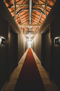 PittenhartLANDHOTEL ALTE ZOLLSTATION- Historical Building的楼房里一条铺有红地毯的长长的走廊