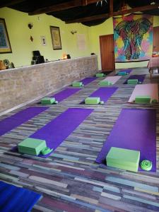 VezenkovoCalla Retreat的一间房间地板上的一排紫色瑜伽垫