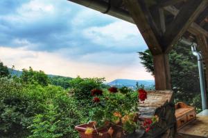 BükkzsércThe Mountain Cottage - Hegyi kuckó的从鲜花房子的门廊上欣赏美景