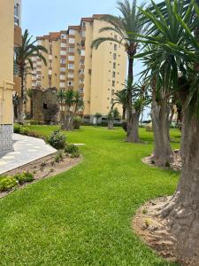 阿尔加罗沃Apartamento BuenasVistas的棕榈树公园和建筑