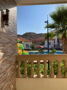 阿哈达منتجع الجزيرة الخضراء的享有游泳池和棕榈树景致的阳台