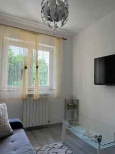 奥帕提亚Kuća za odmor Viktoria的客厅配有蓝色的沙发和电视