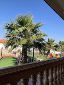 阿哈达منتجع الجزيرة الخضراء的从阳台可欣赏到棕榈树的景色