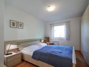 弗兰克瑙Apartment Am Sternberg 226 by Interhome的一间卧室配有一张带蓝色毯子的床和窗户。