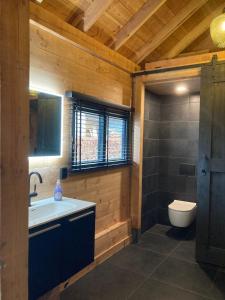 The Miller's Lodge B&B的一间带水槽和卫生间的浴室
