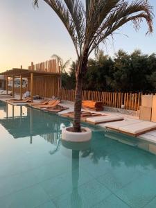 赫索尼索斯Khroma Luxury Suite 1 Beach front apartment的棕榈树坐在游泳池中间