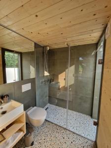 雷兹夫图新GoLife Center Glamping的带淋浴、卫生间和盥洗盆的浴室