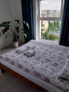 埃尔布隆格Varsovia Residence apartament 17 Parking的一张位于带鲜花床单的窗户的房间里的床