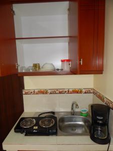 安巴托Ideal para descansar的厨房柜台设有水槽和炉灶。