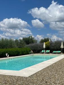 巴尔贝里诺瓦尔德尔萨托雷迪庞扎诺酒店的蓝色的游泳池,一些椅子