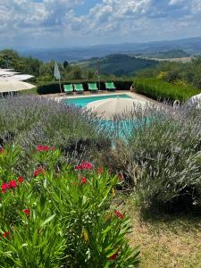 巴尔贝里诺瓦尔德尔萨托雷迪庞扎诺酒店的花园中种有鲜花和植物的游泳池