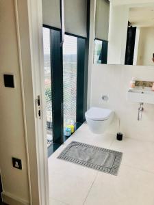 伦敦Luxury 2 bedroom apartment 20 min from central London的一间带卫生间、水槽和窗户的浴室