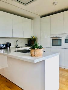 伦敦Luxury 2 bedroom apartment 20 min from central London的厨房配有白色橱柜和台面上的植物