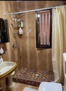 莱波拉诺Villa Ada的带淋浴、卫生间和盥洗盆的浴室
