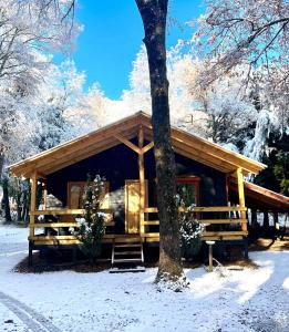 拉斯特朗卡斯Cabañas Bosque las Trancas的雪地里的小木屋,有树