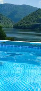 OgradenaClisura Dunarii Casutele Danca的蓝色的游泳池享有湖景