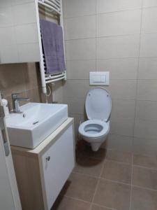 帕拉钦Green Apartman的浴室配有白色卫生间和盥洗盆。