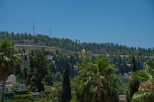 耶路撒冷פרלה צימרים的享有山丘树木和建筑的景色