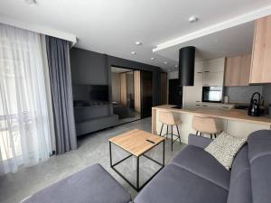 热舒夫VIP APARTAMENT Lubelska的一间带蓝色沙发的客厅和一间厨房