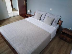 珀德垂那Apartment Lil的卧室配有一张带白色床单和枕头的大床。