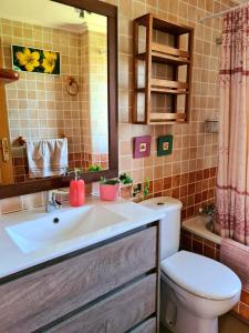 贝尼曼特利Mirador del valle的一间带水槽、卫生间和镜子的浴室