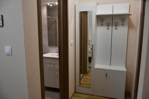科伦德Terra Panzió的白色的浴室设有水槽和镜子