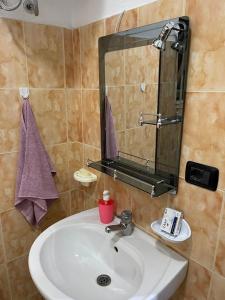 斯库台Dibra Home near City Center of Shkodra的一间带水槽和镜子的浴室